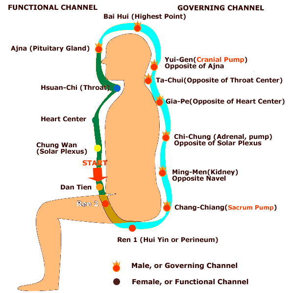 Microcosmic Orbit Yoga